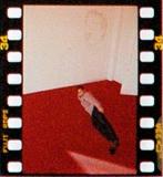 morphe photo